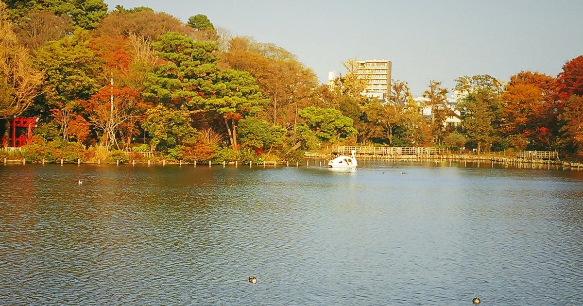 秋の洗足池公園と紅葉